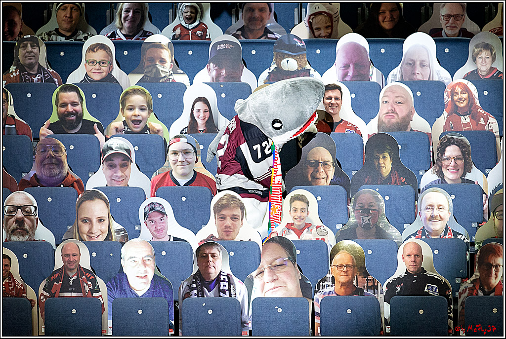 PENNY DEL;  Koelner Haie - Fischtown Pinguins Bremerhaven; Koeln, 12.02.2021